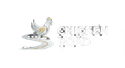 Chicken  Road
